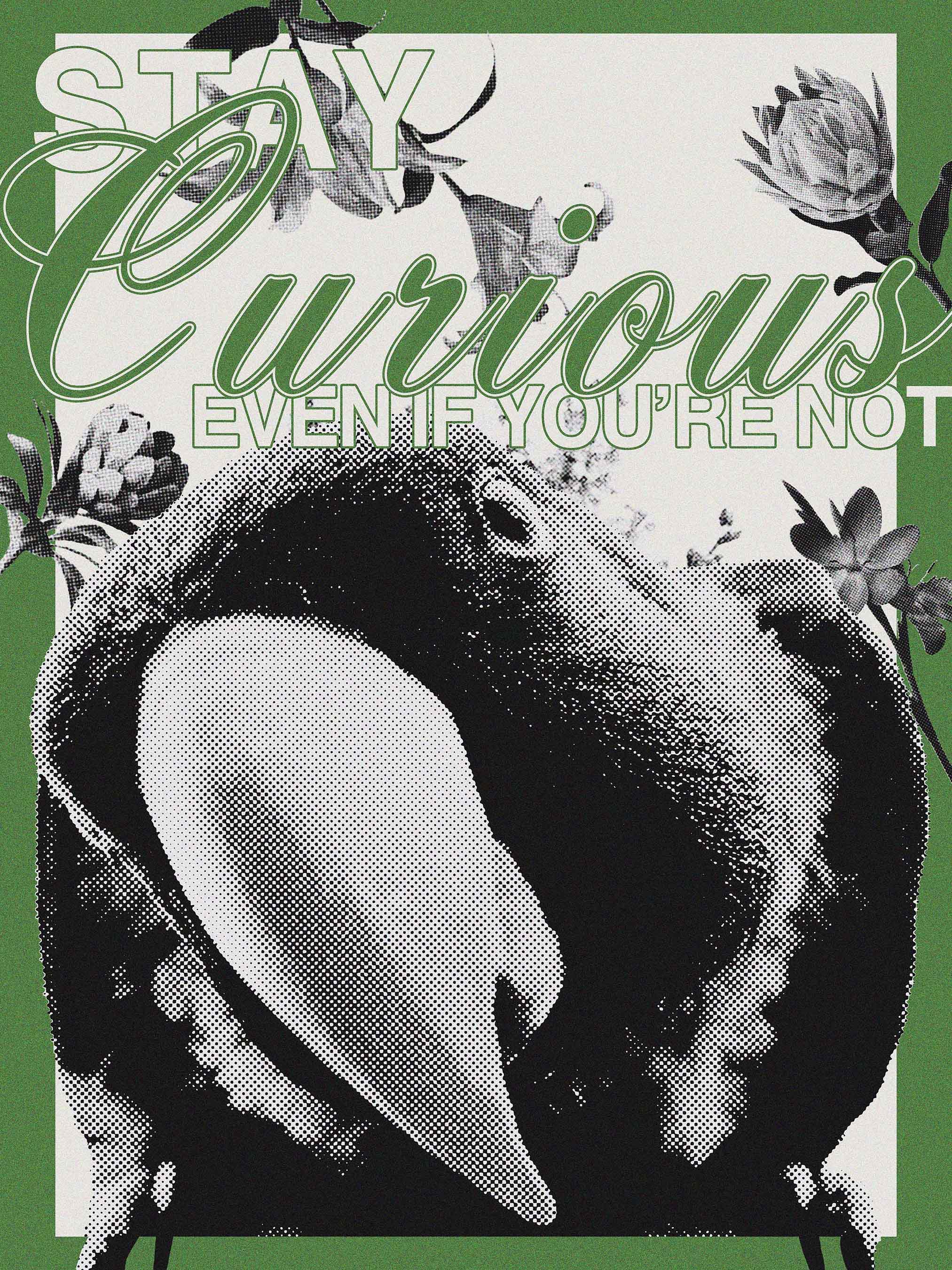 Stary curious poster